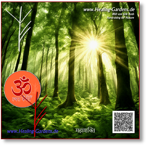Ausgleich - Bild-01